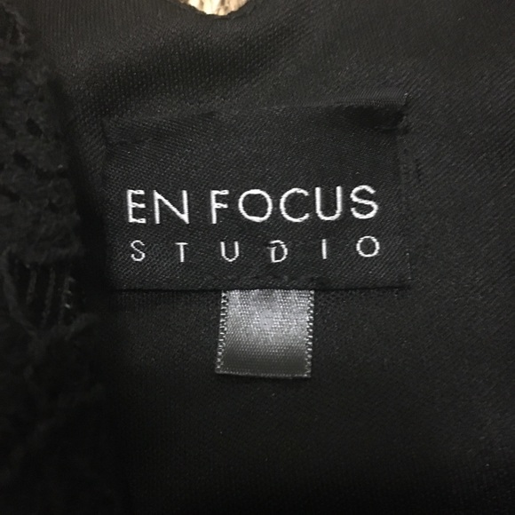 EUC EN FOCUS Lovey Lined, Side Zippered Lace Dress - Picture 9 of 11